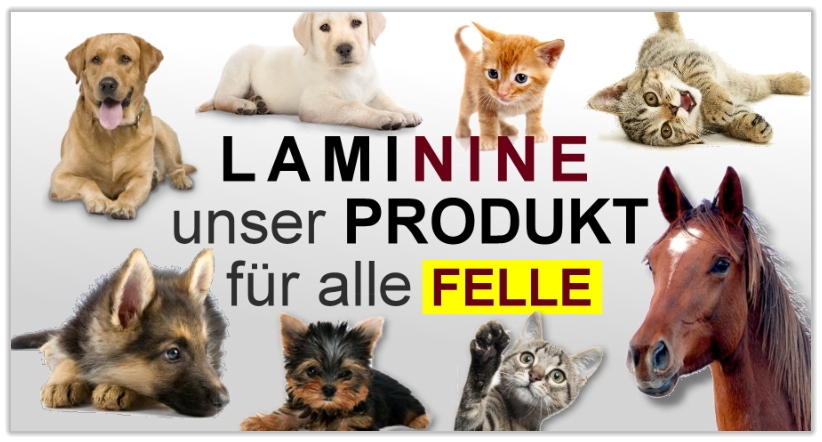LamiNine kann auch Hund, Katze und Pferd gesund machen