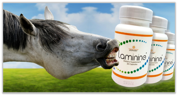 LamiNine - auf für Pferde und glänzendes Fell